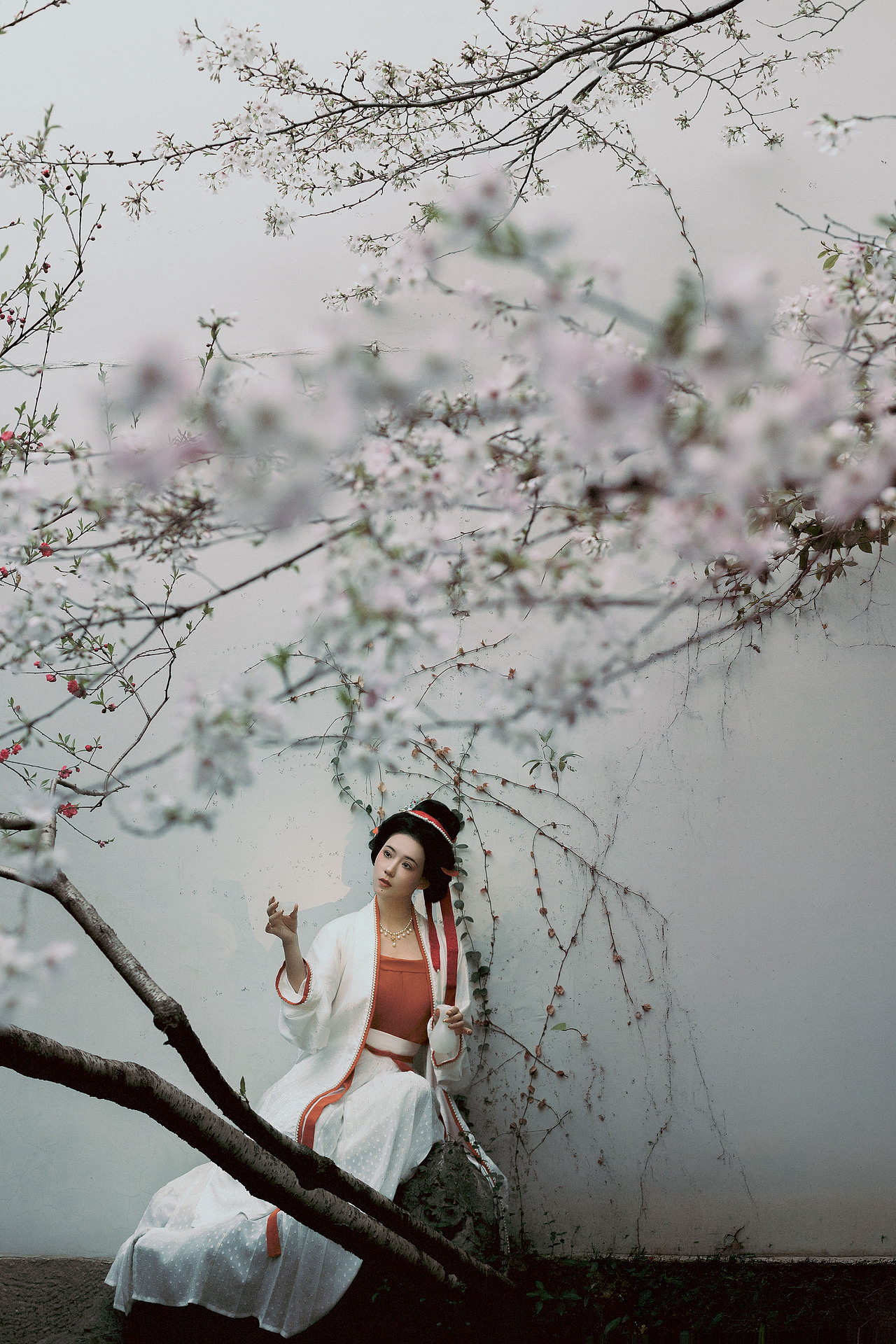 故园白樱（图ZNDA1NTM4NTgw） - 人像摄影 - 站酷设计师若寒Rock原创素材 - 站酷ZCOOL