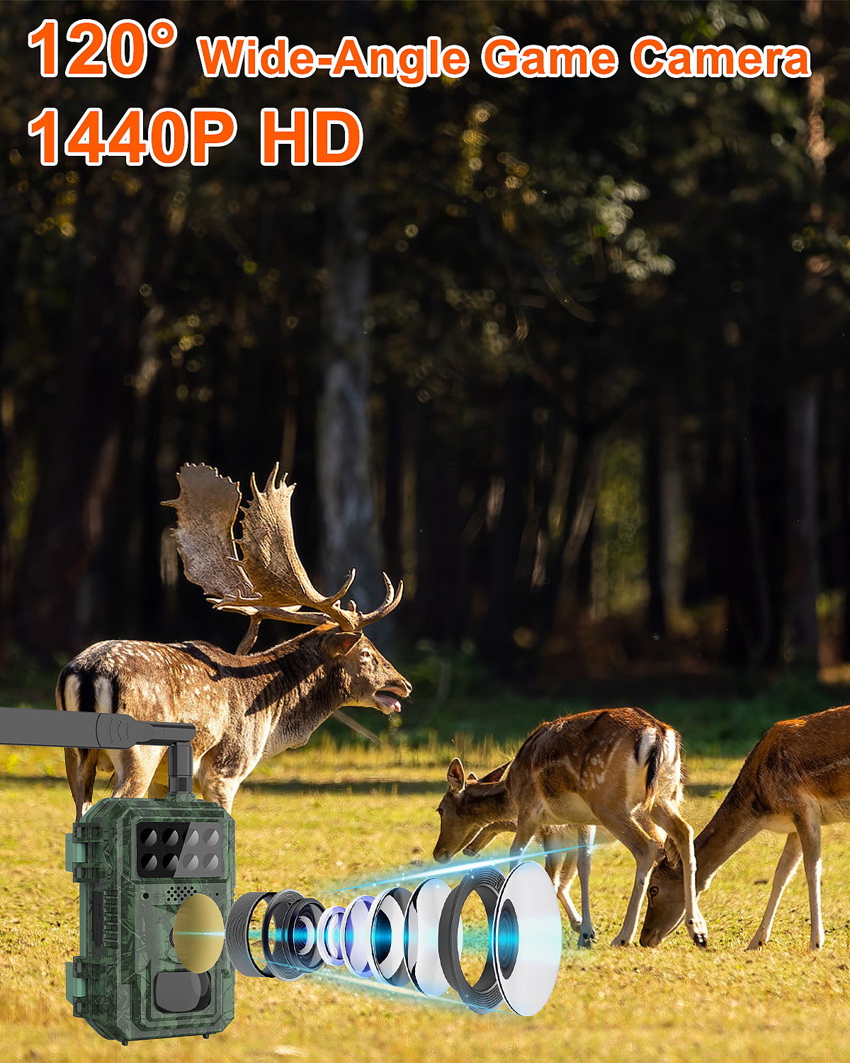 迷彩打猎相机（图ZNDA1NTQ5NTg0） - 电商 - 站酷设计师MWdZwEreWQ原创素材 - 站酷ZCOOL