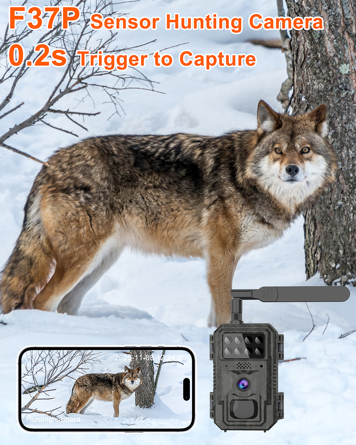 灰色打猎相机（图ZNDA1NTQ5OTc2） - 电商 - 站酷设计师MWdZwEreWQ原创素材 - 站酷ZCOOL