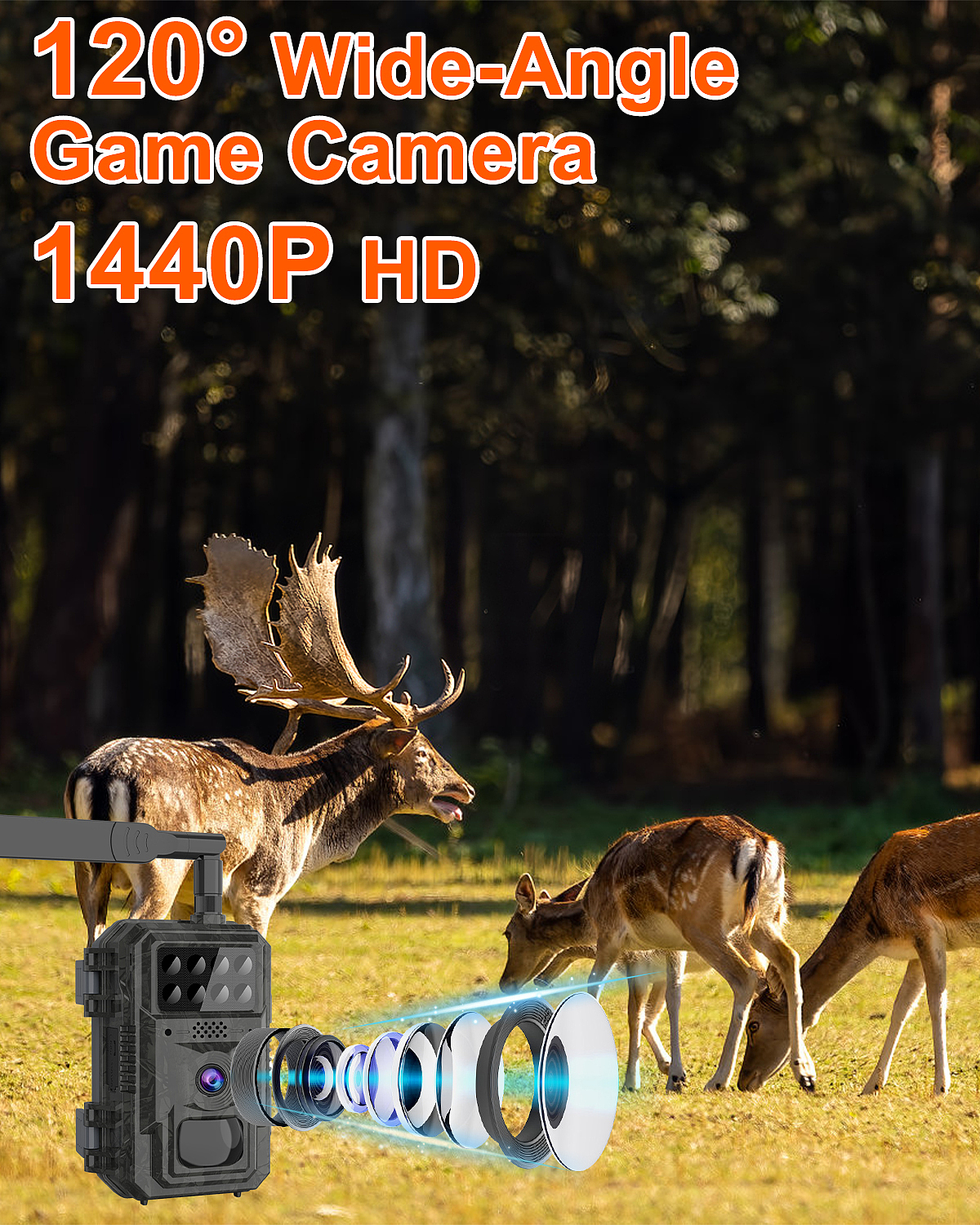 灰色打猎相机（图ZNDA1NTQ5OTg0） - 电商 - 站酷设计师MWdZwEreWQ原创素材 - 站酷ZCOOL