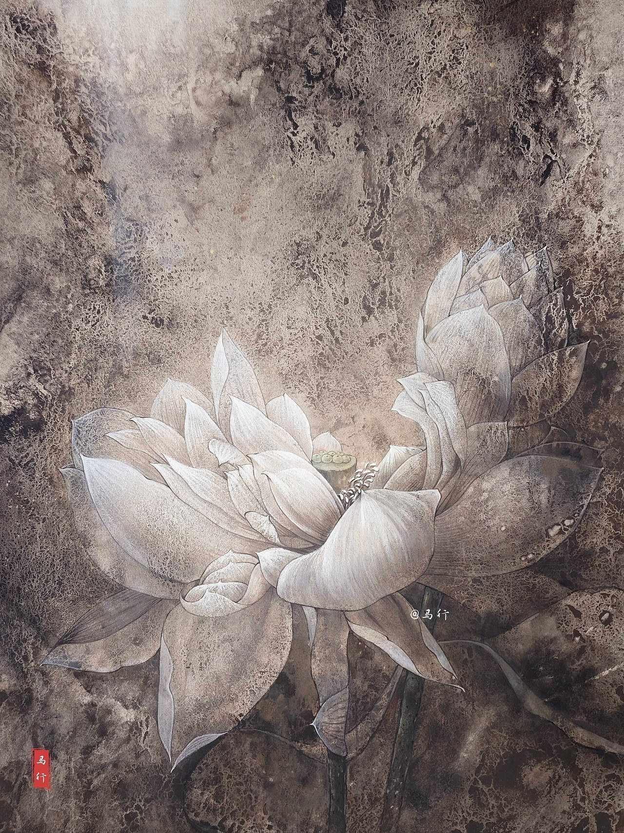 荷（图ZNDA1NTUyMTQw） - 绘画 - 站酷设计师马行画彩铅原创素材 - 站酷ZCOOL