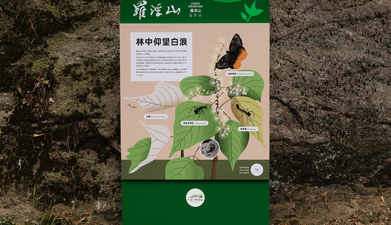 惠州市罗浮山紫云路步道自然科普解说牌设计（图ZNDA1NTU5ODg4） - 宣传物料 - 站酷设计师tofu豆腐原创素材 - 站酷ZCOOL