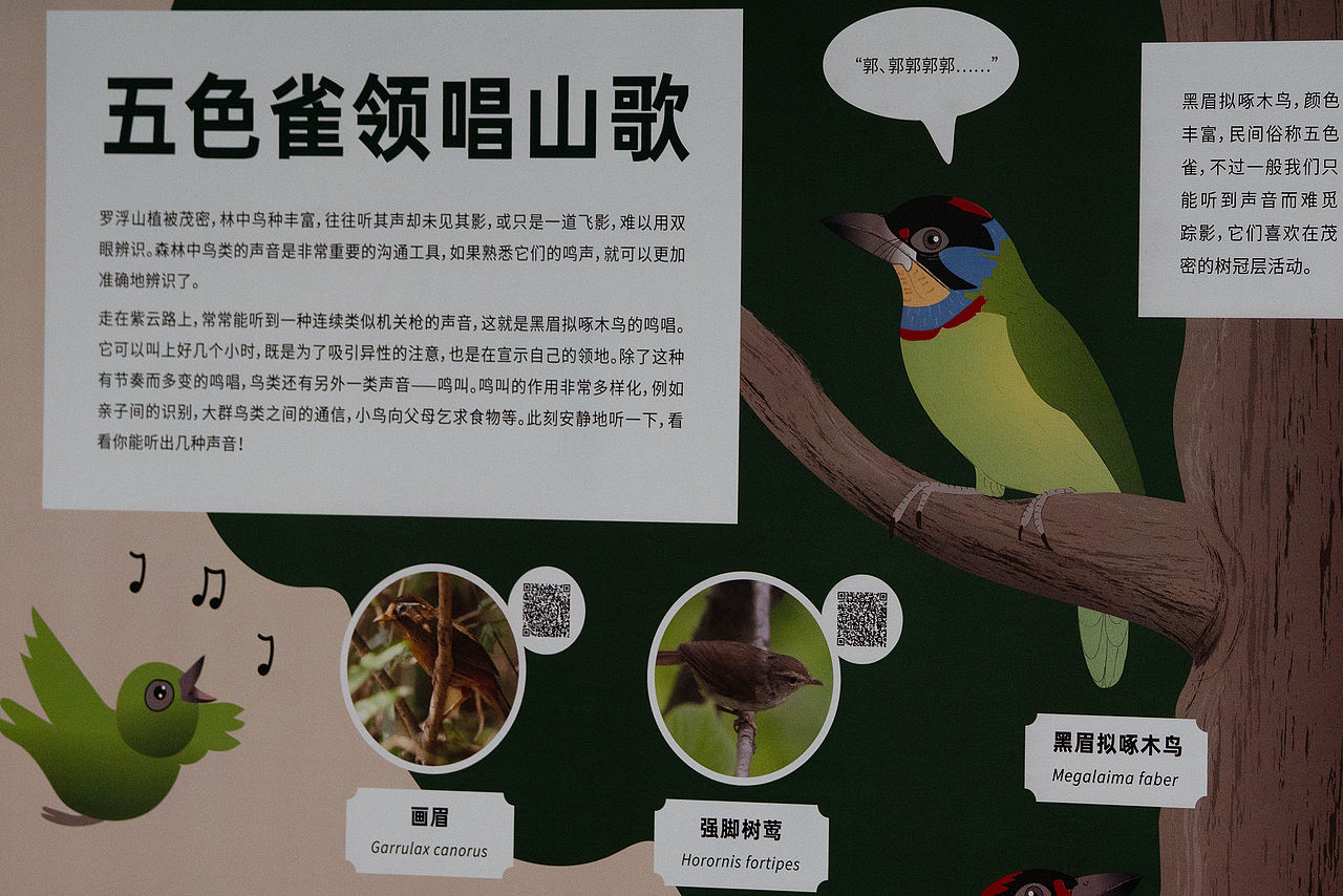 惠州市罗浮山紫云路步道自然科普解说牌设计（图ZNDA1NTU5OTE2） - 宣传物料 - 站酷设计师tofu豆腐原创素材 - 站酷ZCOOL