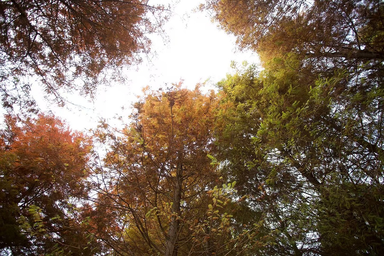 風(fēng)景/拍攝（圖ZNDA1NTYxNjIw） - 風(fēng)光攝影 - 站酷設(shè)計(jì)師只因你太美了原創(chuàng)素材 - 站酷ZCOOL