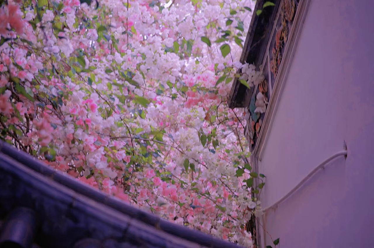 風(fēng)景/拍攝（圖ZNDA1NTYxNjI0） - 風(fēng)光攝影 - 站酷設(shè)計(jì)師只因你太美了原創(chuàng)素材 - 站酷ZCOOL