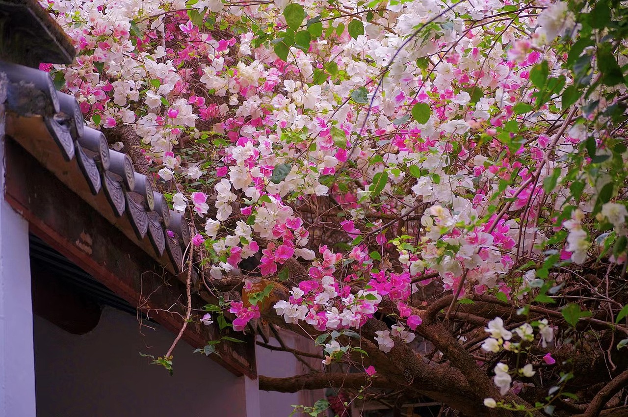 風(fēng)景/拍攝（圖ZNDA1NTYxNjI4） - 風(fēng)光攝影 - 站酷設(shè)計(jì)師只因你太美了原創(chuàng)素材 - 站酷ZCOOL