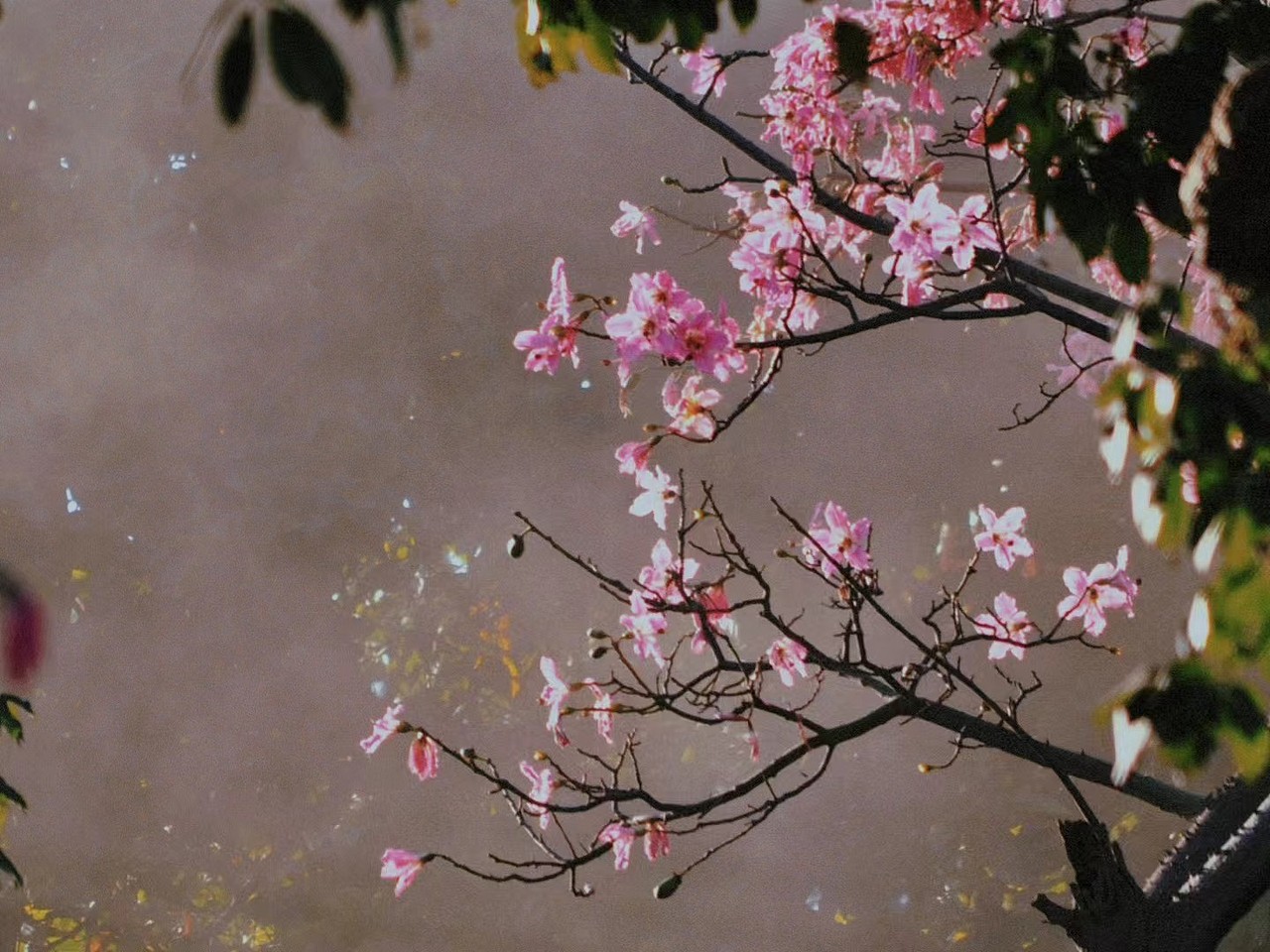 風(fēng)景/拍攝（圖ZNDA1NTYxNjU2） - 風(fēng)光攝影 - 站酷設(shè)計(jì)師只因你太美了原創(chuàng)素材 - 站酷ZCOOL