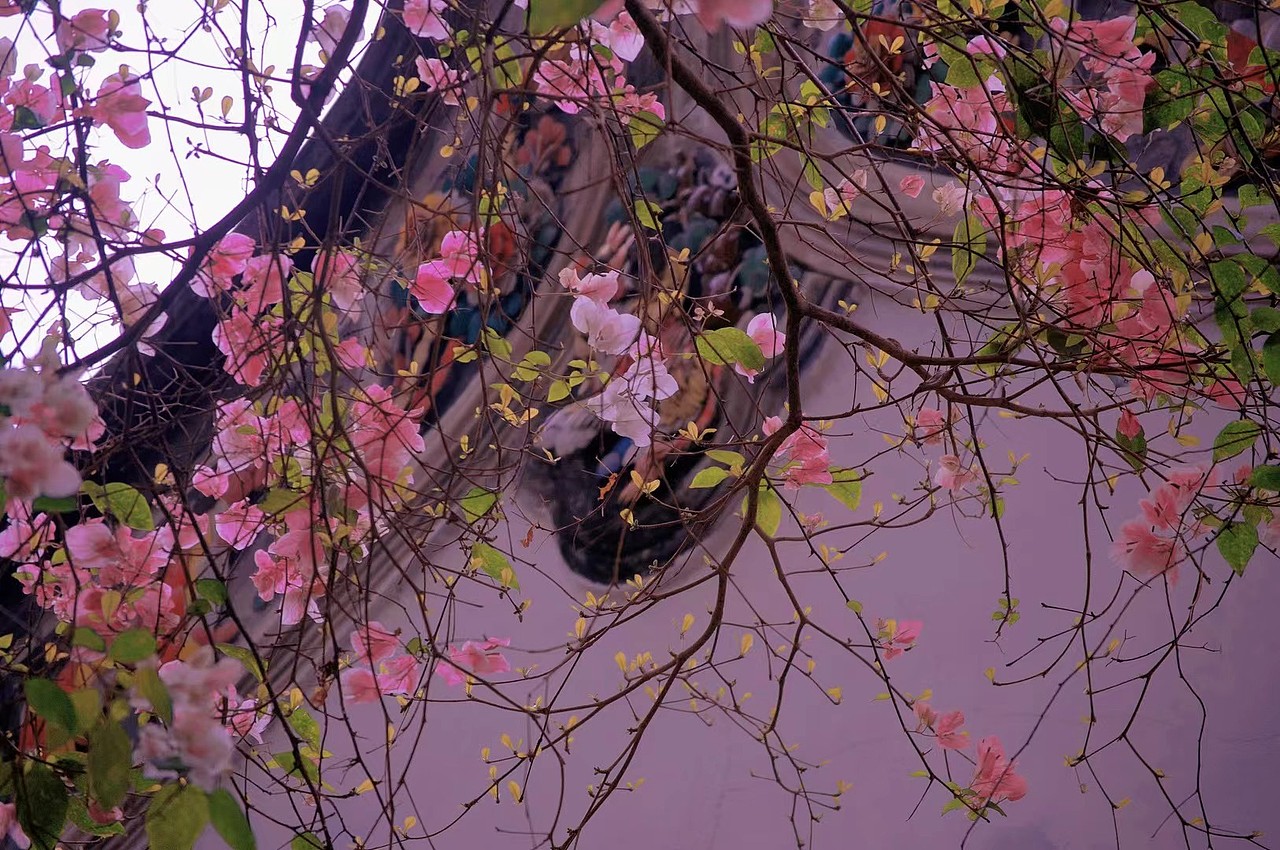 風(fēng)景/拍攝（圖ZNDA1NTYxNjQw） - 風(fēng)光攝影 - 站酷設(shè)計(jì)師只因你太美了原創(chuàng)素材 - 站酷ZCOOL