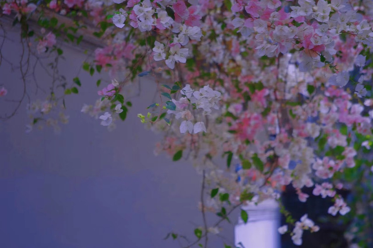 風(fēng)景/拍攝（圖ZNDA1NTYxNjQ0） - 風(fēng)光攝影 - 站酷設(shè)計(jì)師只因你太美了原創(chuàng)素材 - 站酷ZCOOL