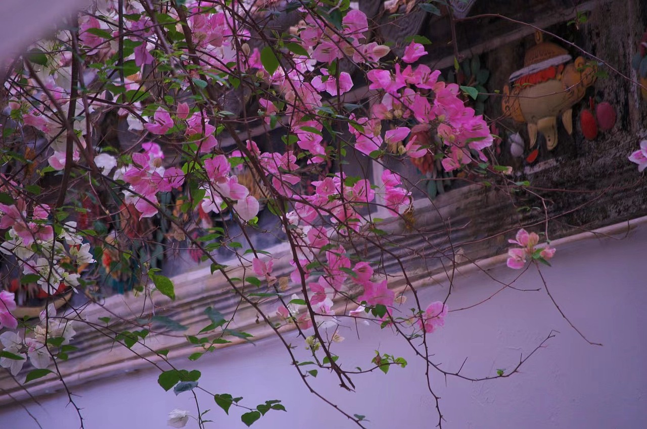 風(fēng)景/拍攝（圖ZNDA1NTYxNjUy） - 風(fēng)光攝影 - 站酷設(shè)計(jì)師只因你太美了原創(chuàng)素材 - 站酷ZCOOL