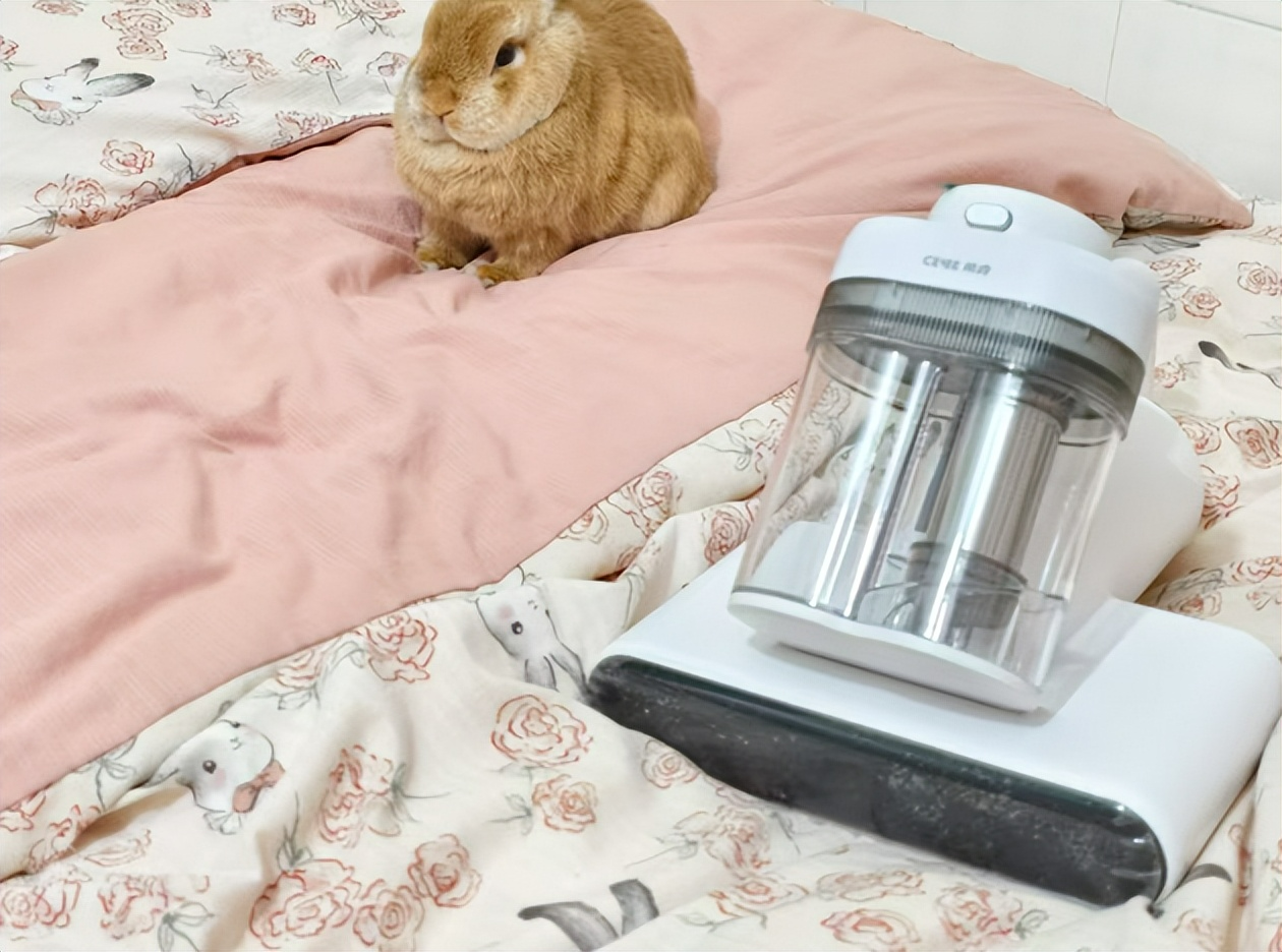 除螨仪什么牌子好用？除螨仪排行第一名是哪个？测评揭秘十大公认好用的除螨仪推荐（图ZMTU1Mzk4ODA=） - 资讯 - 站酷设计师木子将家电原创素材 - 站酷ZCOOL