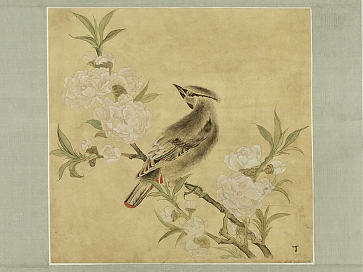 《桃花山鸟图》镜片装裱，画心临摹自绘