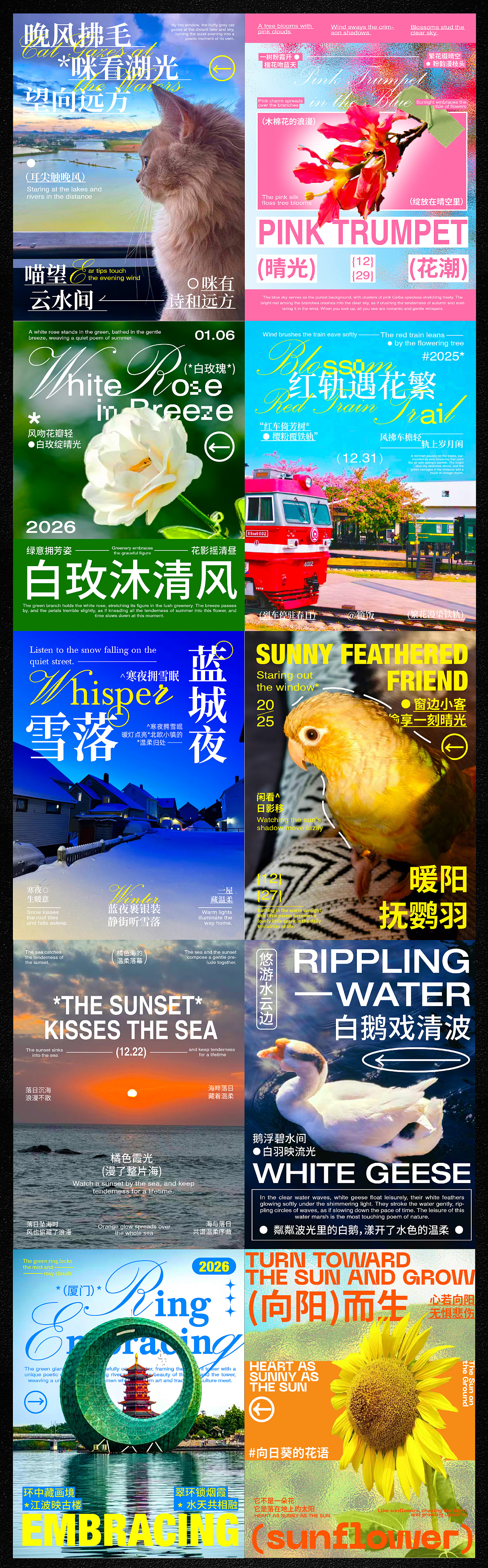 花式景物风格海报设计 | 浪课江湖（图ZNDA1NTcxNTgw） - 海报 - 站酷设计师浪课江湖原创素材 - 站酷ZCOOL