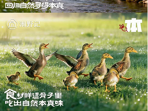 食本味主题配图