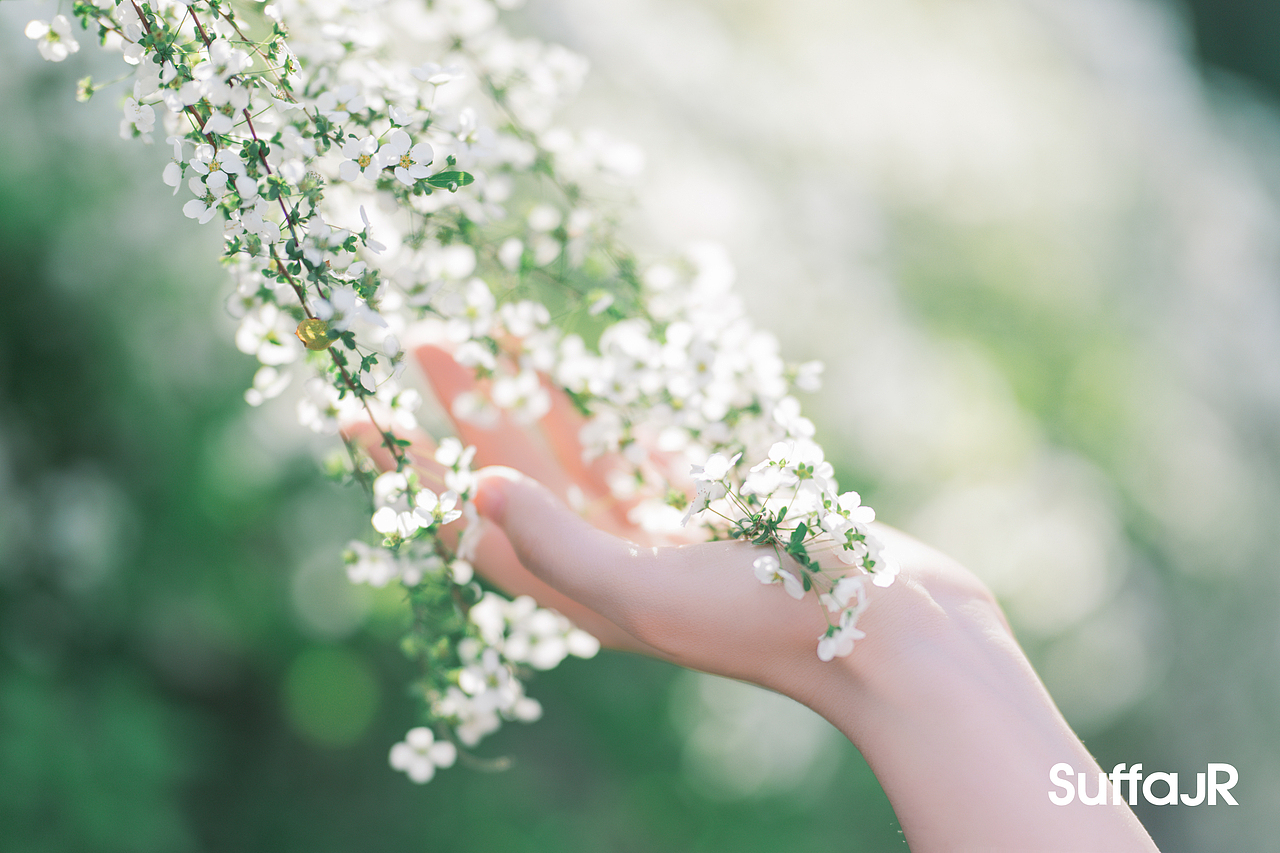 雪柳明玥（图ZNDA1NTgwMjA4） - 人像摄影 - 站酷设计师朱尼尔沙发SUFFA原创素材 - 站酷ZCOOL