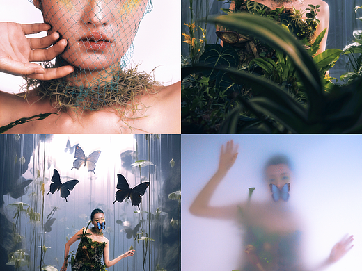 迷霧叢林（個(gè)人主頁(yè)-ZNzM0NjQxMjA=） - AI作品 - 站酷設(shè)計(jì)師lucky旺旺原創(chuàng)素材 - 站酷ZCOOL