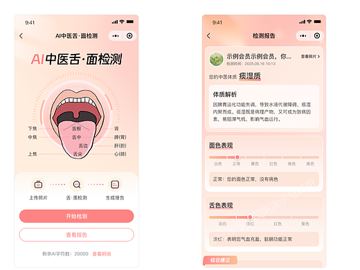 教你AI 舌诊面诊小程序制作方法：不用代码，模板 + AI 一键搞定