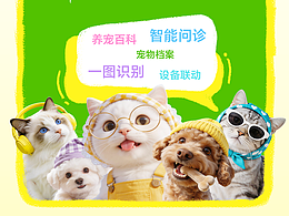 荣耀智慧空间宠物健康档案 宣传海报