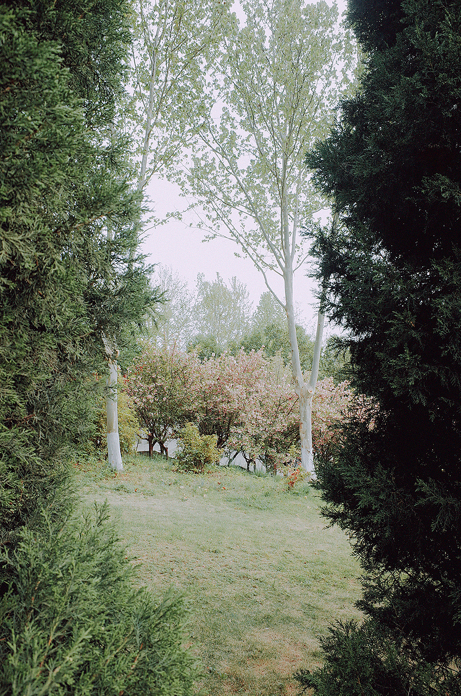 四月物语（图ZNDA1NTg2NzU2） - 风光摄影 - 站酷设计师莫然_xs原创素材 - 站酷ZCOOL