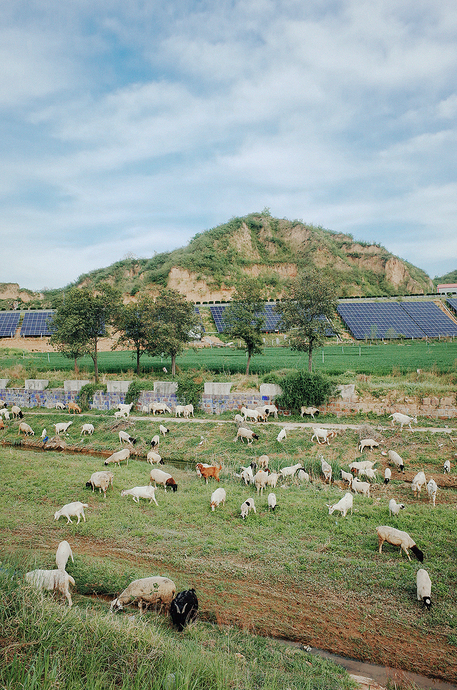 四月物语（图ZNDA1NTg3MDI4） - 风光摄影 - 站酷设计师莫然_xs原创素材 - 站酷ZCOOL
