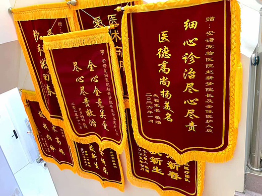 2026温岭宠物内科专家精选，为爱宠健康保驾护航，狗狗绝育/母狗绝育/24小时宠