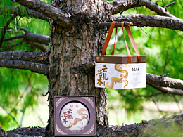 云龙仓木单饼-提装