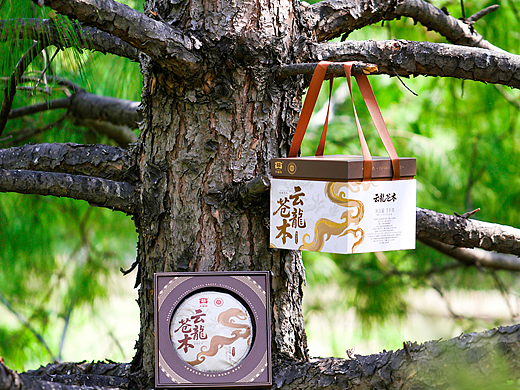 云龙仓木单饼-提装