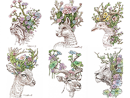 原创插画丨动植物共生系列（四）