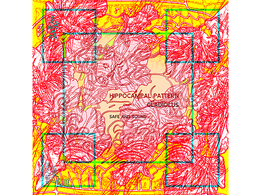 #《东方佑花》#海马纹-剑兰花语