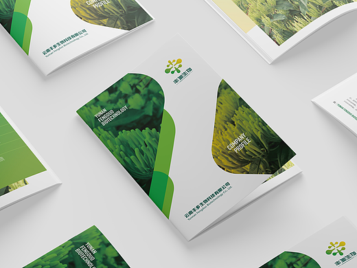 中药材品牌画册