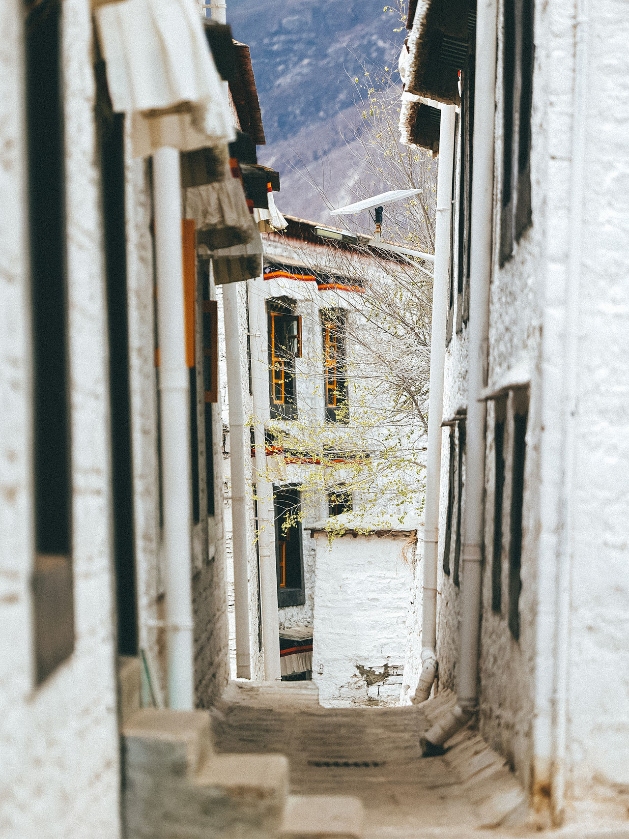 西藏 | 拉萨旅游必去榜之一:色拉寺(图ZNDA1NjExMTg4) - 人文/纪实摄影 - 站酷设计师摄影师_罗少原创素材 - 站酷ZCOOL