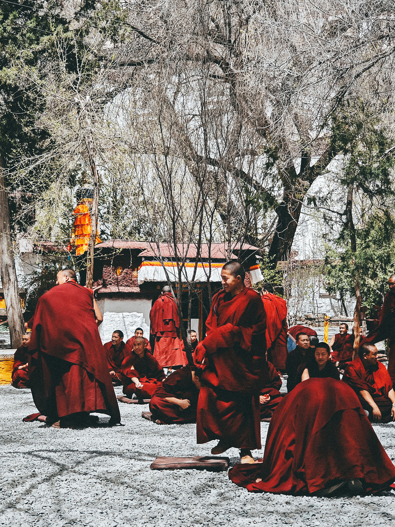 西藏 | 拉萨旅游必去榜之一:色拉寺(图ZNDA1NjExMjky) - 人文/纪实摄影 - 站酷设计师摄影师_罗少原创素材 - 站酷ZCOOL