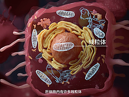 面试作品集（仅自用）