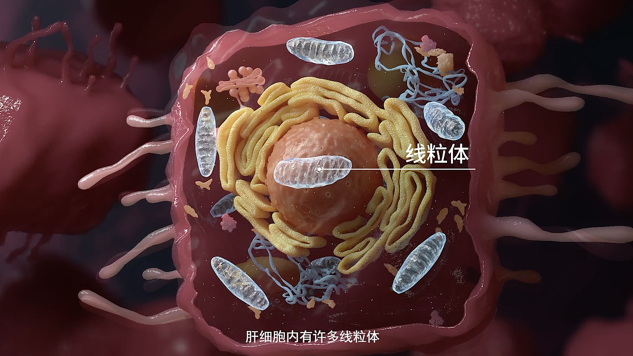 面试作品集（仅自用）（图ZNDA1NjIwODM2） - 人物/生物 - 站酷设计师takuzzmi原创素材 - 站酷ZCOOL