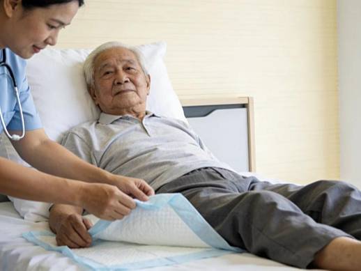 PPT课件赋能老人照护，规范尿垫更换流程，传递暖心守护