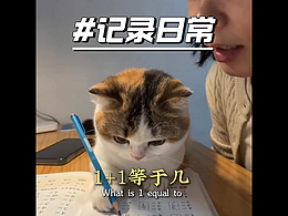 關(guān)于我家小貓闖禍了這件事