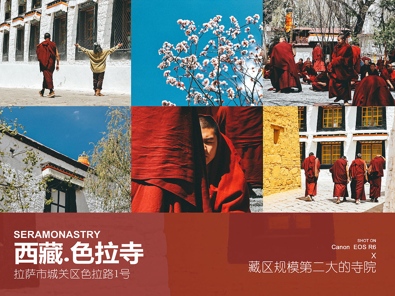 西藏 | 拉萨旅游必去榜之一:色拉寺(图ZNDA1NjU1NTA4) - 人文/纪实摄影 - 站酷设计师摄影师_罗少原创素材 - 站酷ZCOOL