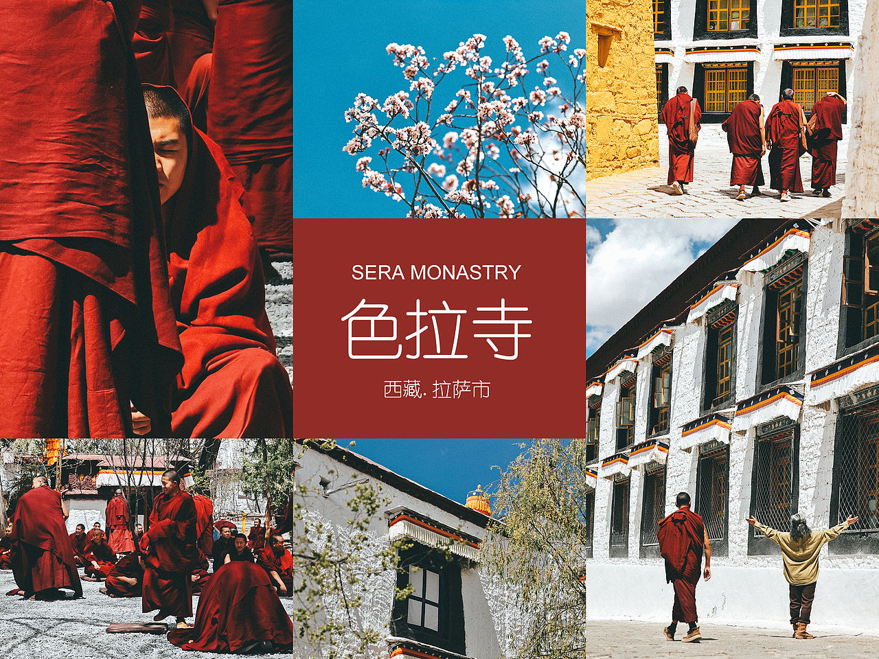 西藏 | 拉萨旅游必去榜之一:色拉寺(图ZNDA1NjU1NTEy) - 人文/纪实摄影 - 站酷设计师摄影师_罗少原创素材 - 站酷ZCOOL