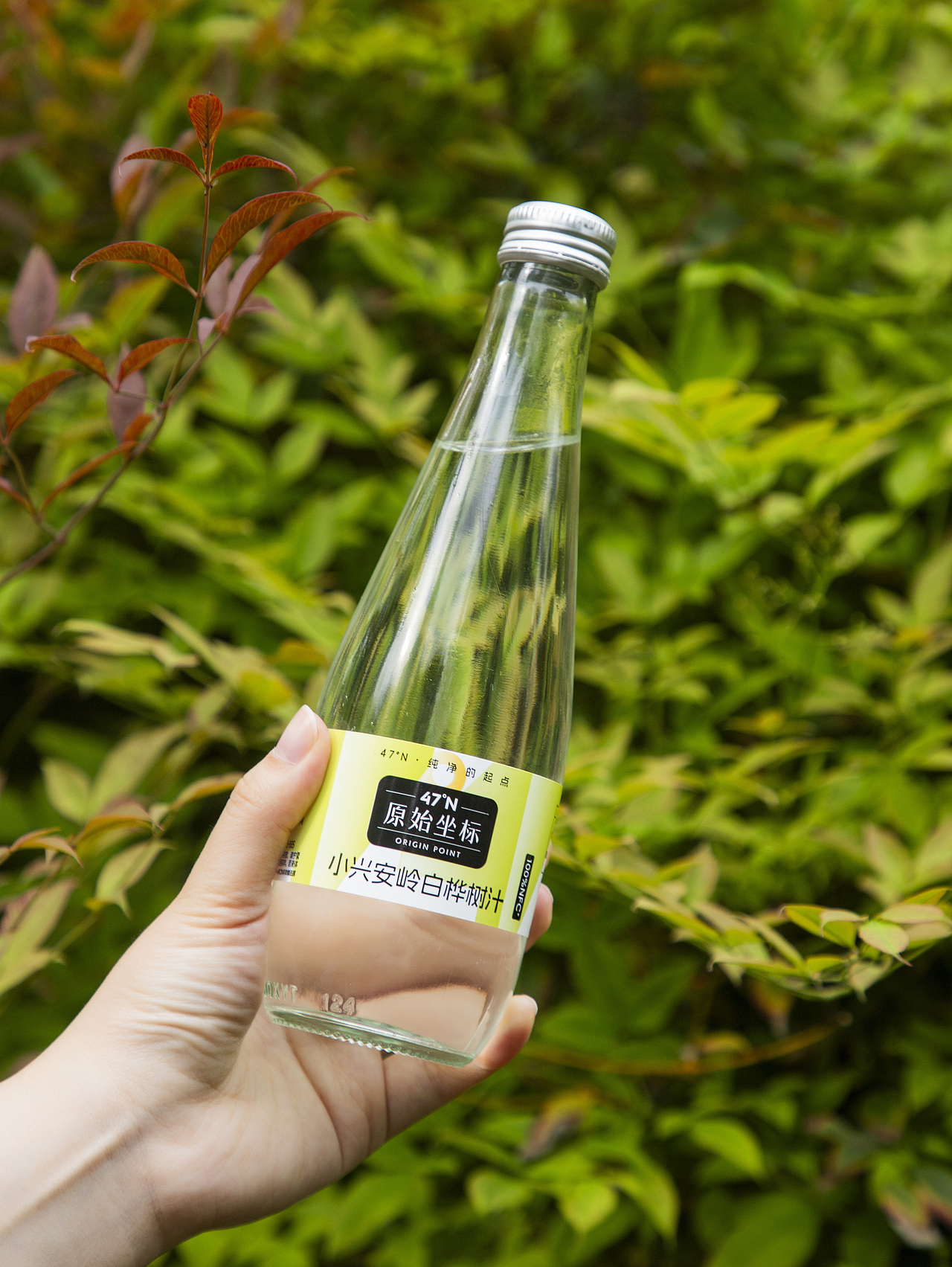 有间|原始坐标北纬47°小兴安岭白桦树汁（图ZNDA1NjU4MjIw） - 产品摄影 - 站酷设计师有间图片社原创素材 - 站酷ZCOOL