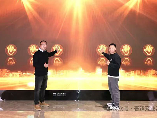 2026年3月市面上宠物医院代运营机构，宠物服务代运营/宠物医生美团运营/宠物医