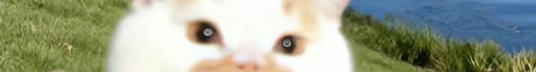 __奈良美智的个人主页（封面预览） - 主页封面设置 - 站酷设计师__奈良美智原创素材 - 站酷ZCOOL