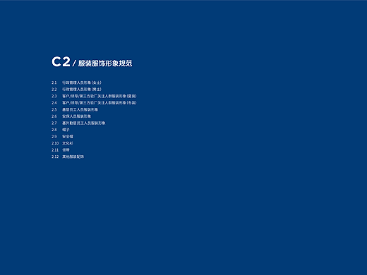 汉福宣传VI后半