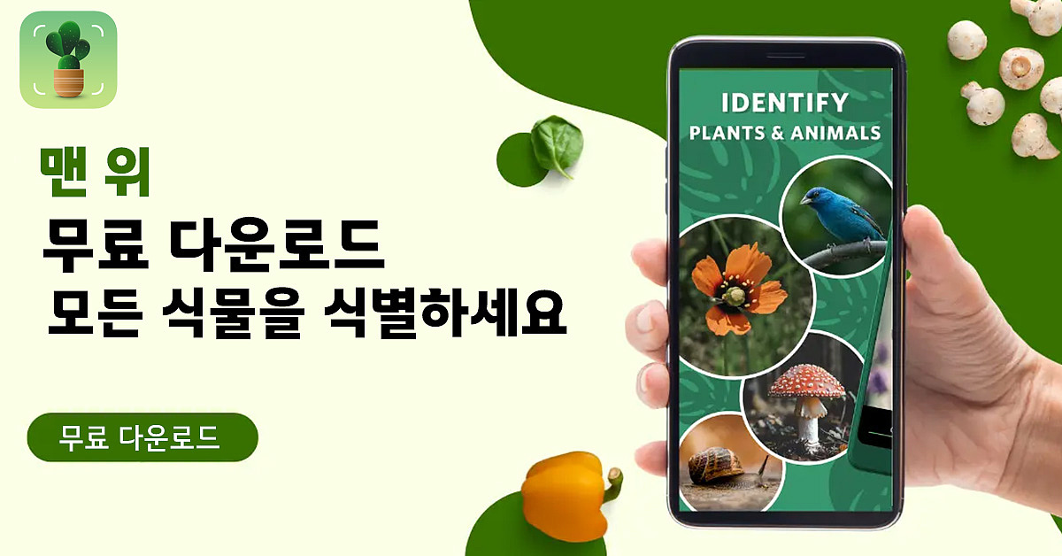 海外——植物识别app广告设计（图ZNDA1Njc4NzI0） - 运营设计 - 站酷设计师Z456950570原创素材 - 站酷ZCOOL