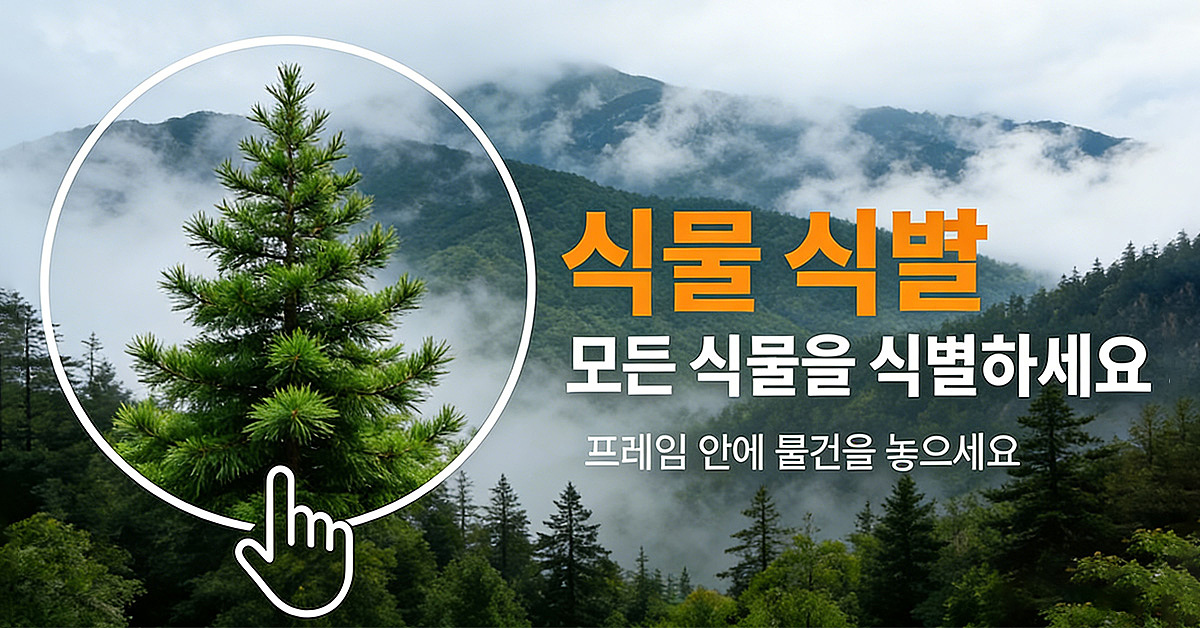 海外——植物识别app广告设计（图ZNDA1Njc4NzY0） - 运营设计 - 站酷设计师Z456950570原创素材 - 站酷ZCOOL