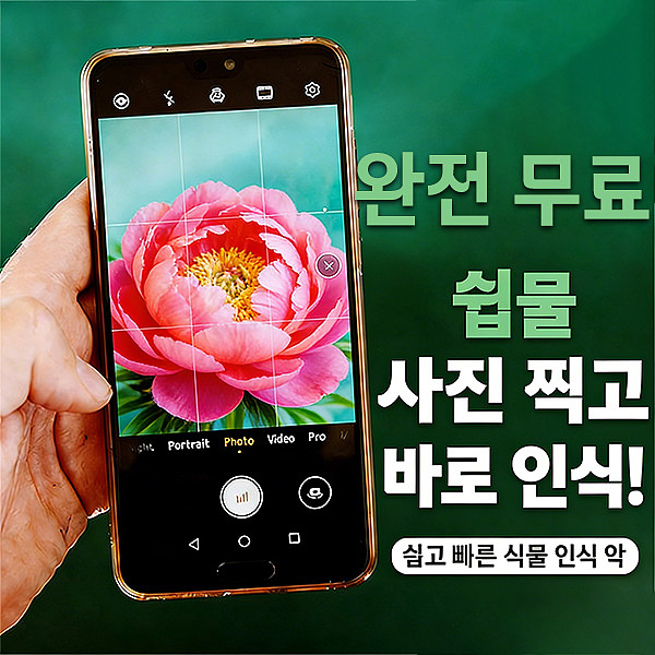 海外——植物识别app广告设计（图ZNDA1Njc5Mjcy） - 运营设计 - 站酷设计师Z456950570原创素材 - 站酷ZCOOL