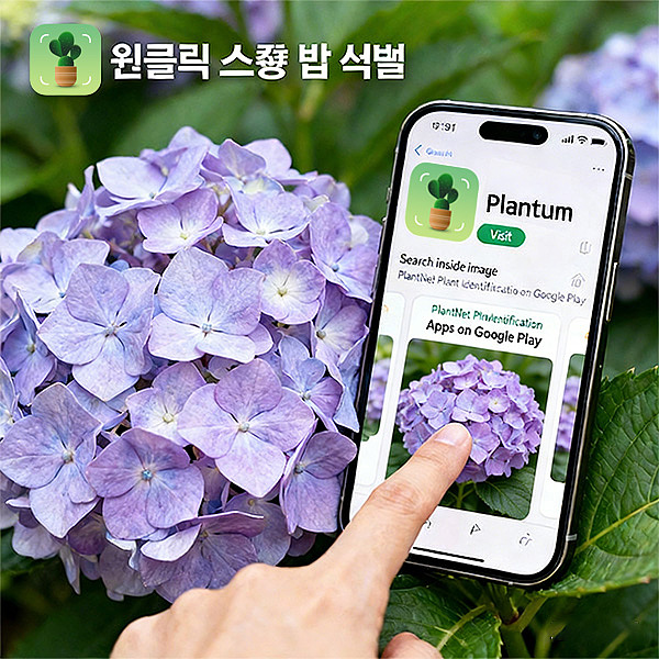 海外——植物识别app广告设计（图ZNDA1Njc5MzEy） - 运营设计 - 站酷设计师Z456950570原创素材 - 站酷ZCOOL