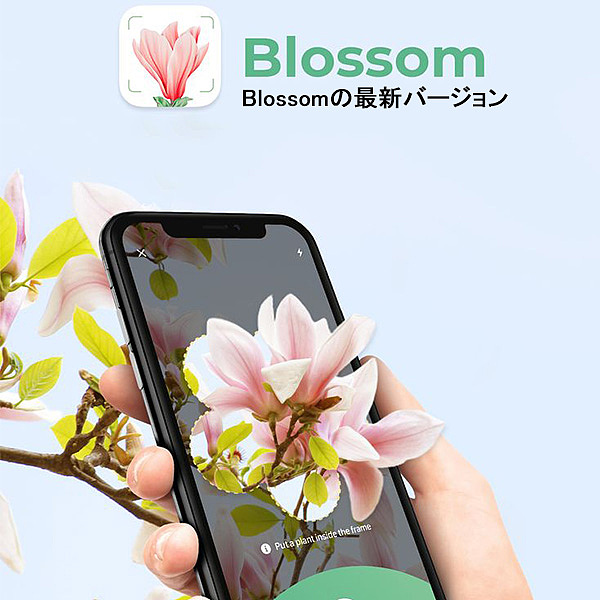 海外——植物识别app广告设计（图ZNDA1Njc5MzQ0） - 运营设计 - 站酷设计师Z456950570原创素材 - 站酷ZCOOL