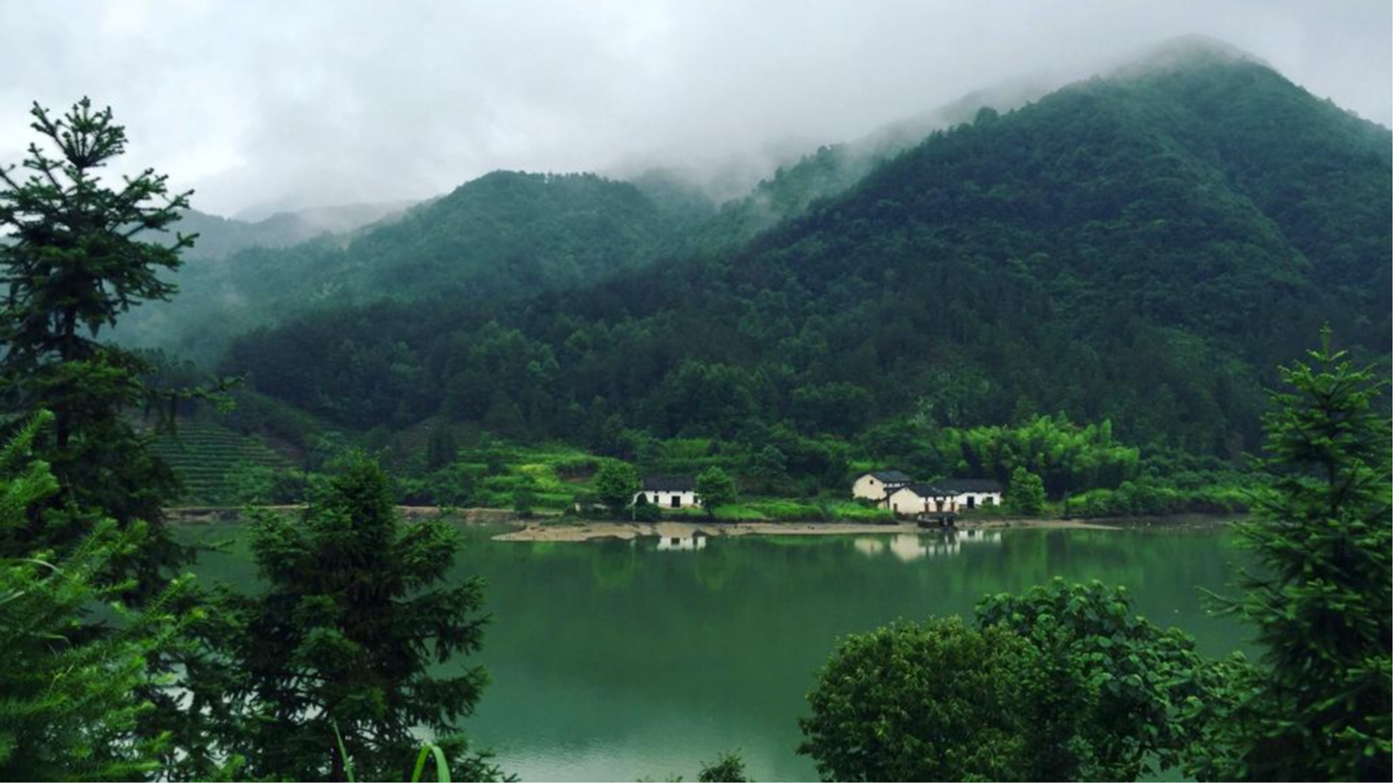 Sunny丨勇的個人主頁（封面預(yù)覽） - 主頁封面設(shè)置 - 站酷設(shè)計師Sunny丨勇原創(chuàng)素材 - 站酷ZCOOL