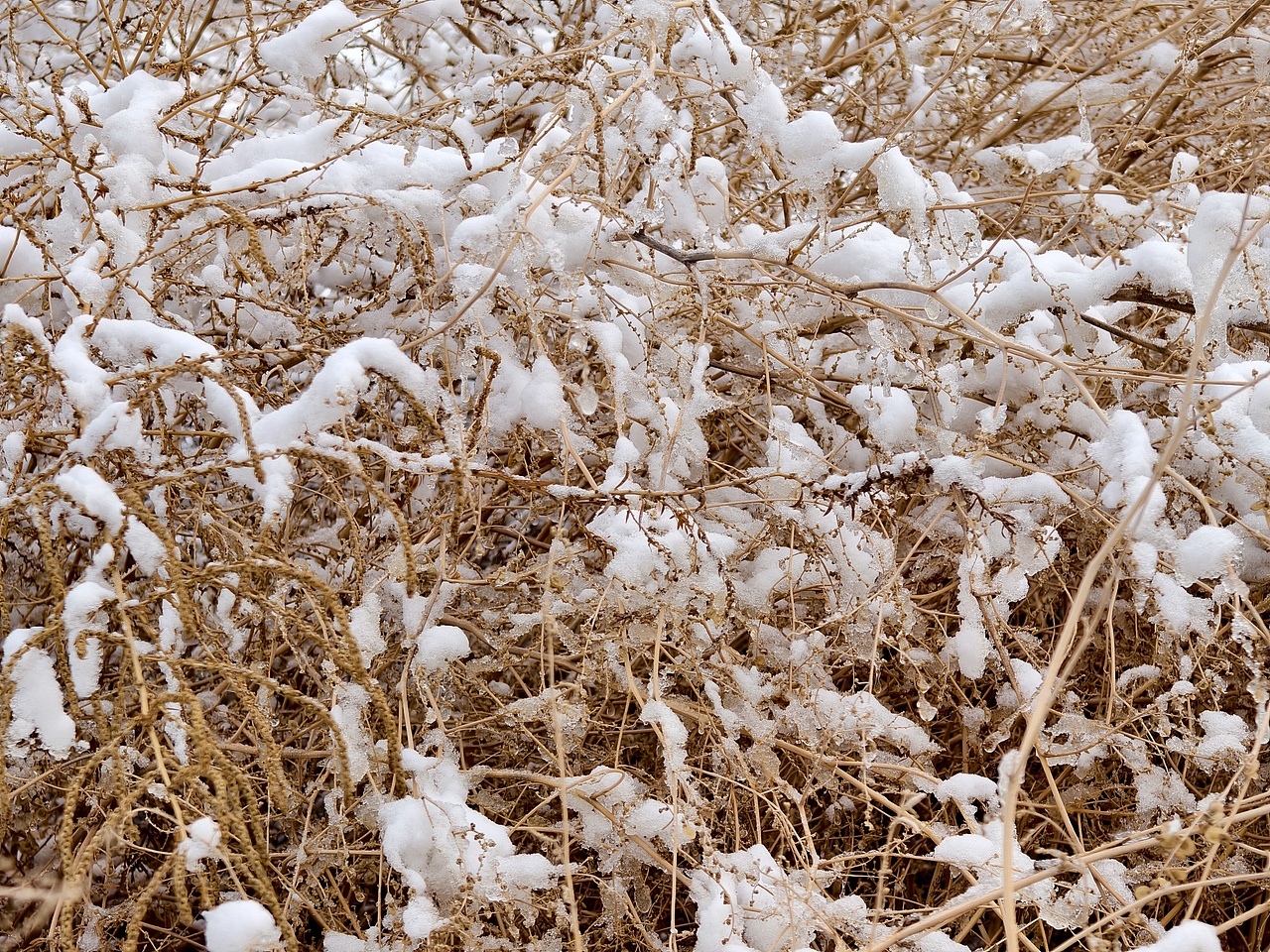 学校生活（图ZNDA1NjkwNjcy） - 风光摄影 - 站酷设计师微醺柚茶原创素材 - 站酷ZCOOL