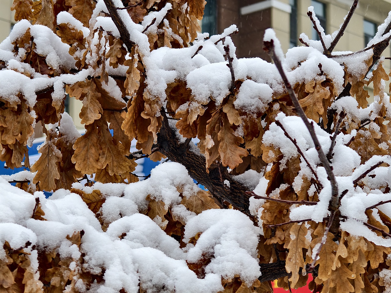 学校生活（图ZNDA1NjkwNjc2） - 风光摄影 - 站酷设计师微醺柚茶原创素材 - 站酷ZCOOL